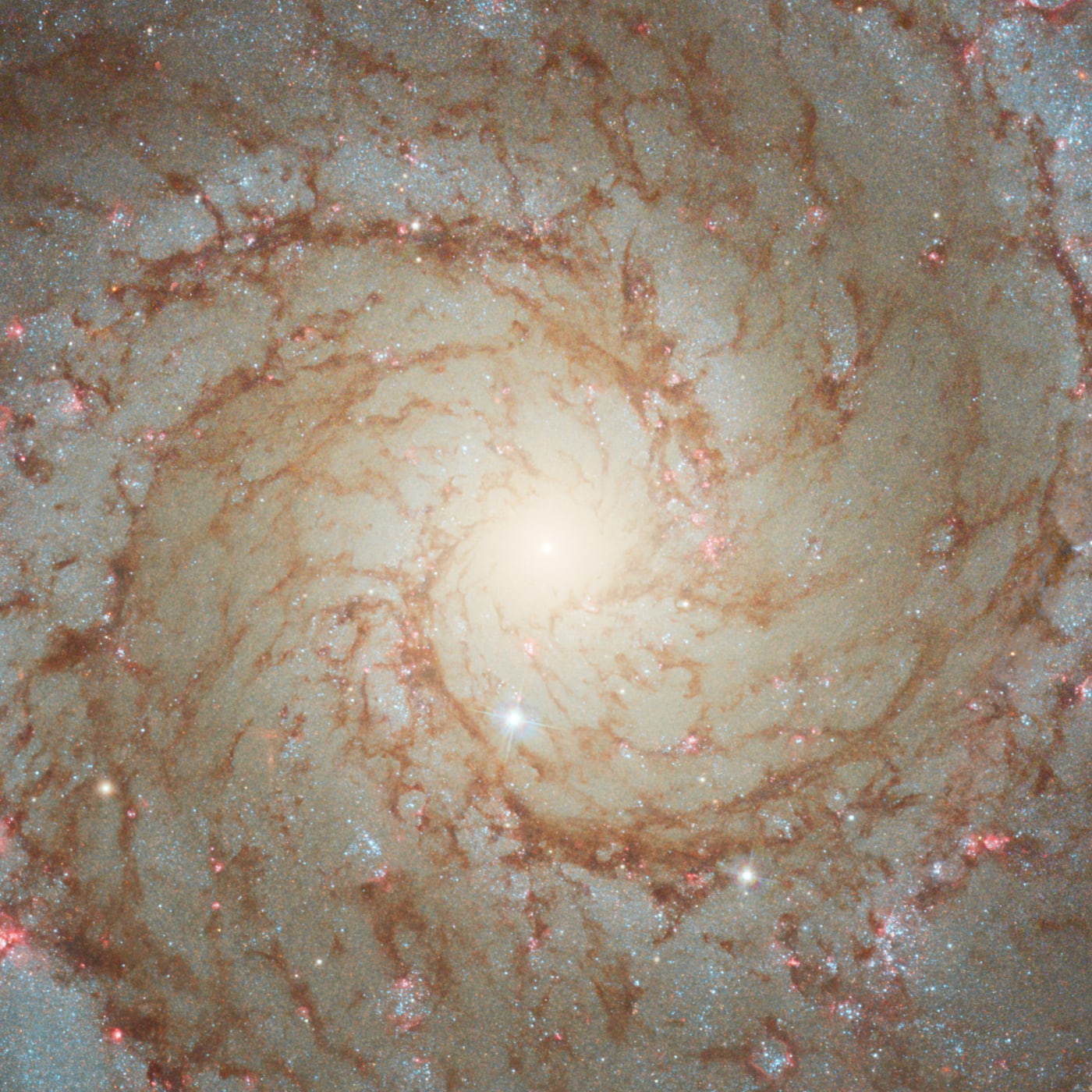 Galáxia Fantasma registrado pelo telescópio espacial Hubble