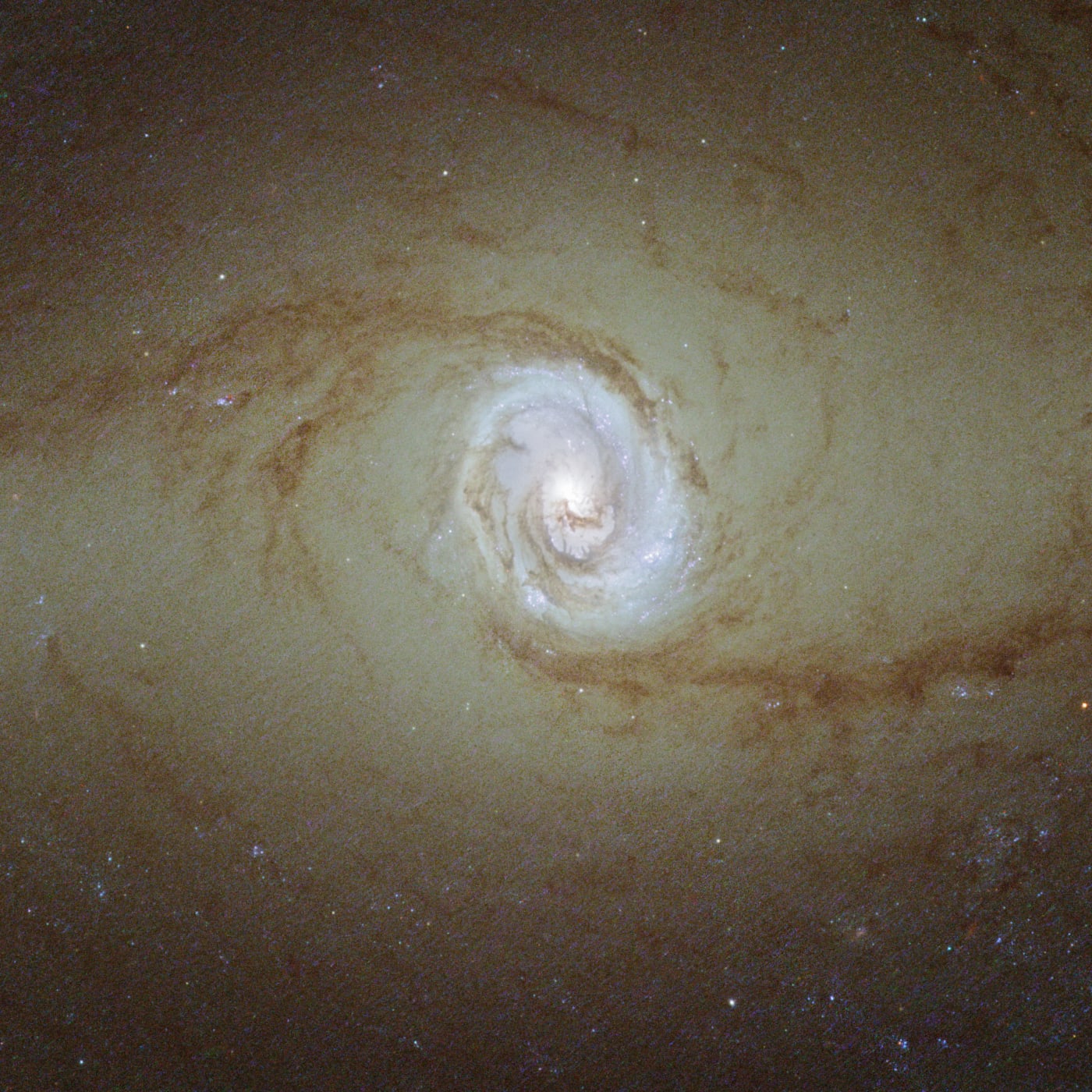 Galáxia NGC 1433 registrado pelo telescópio espacial Hubble