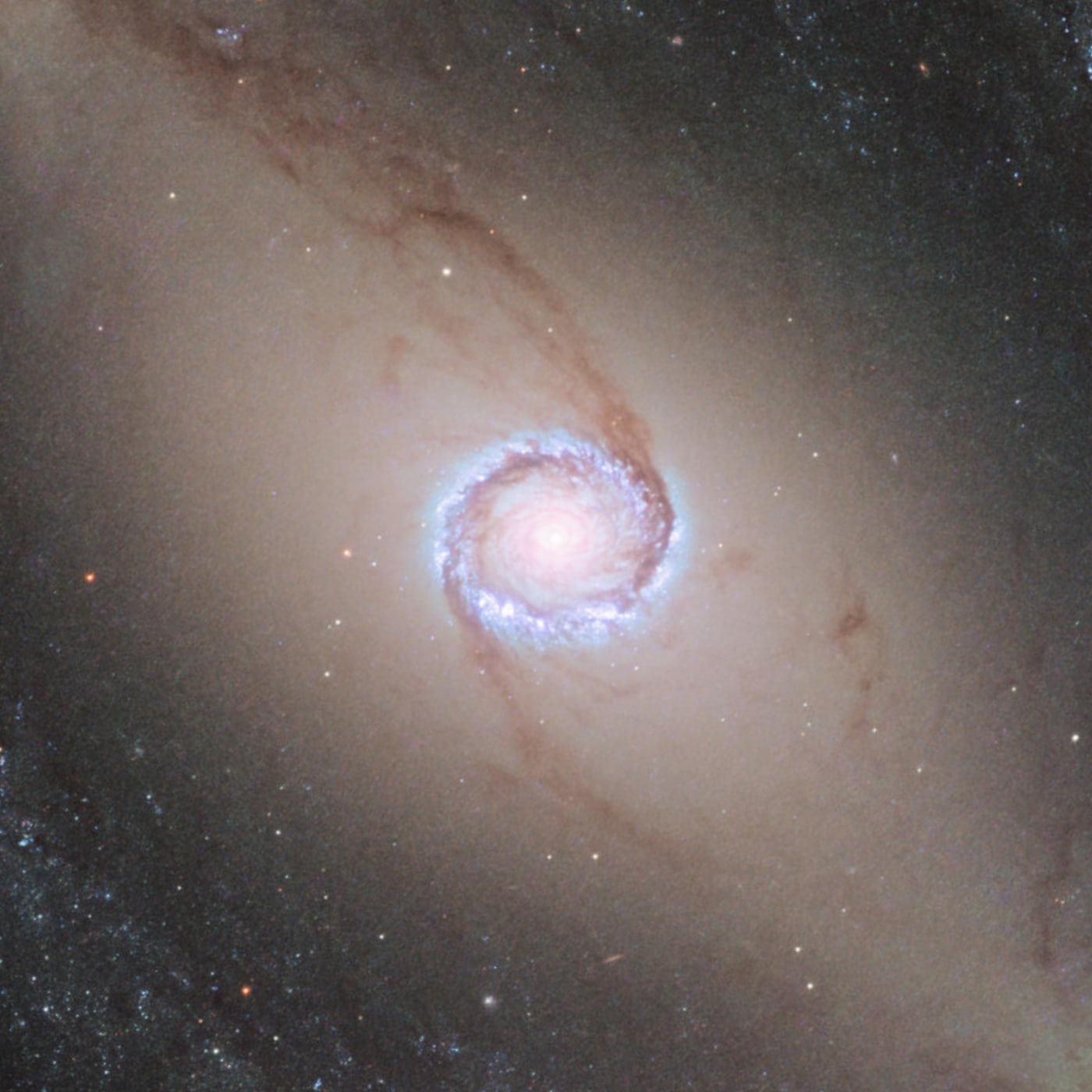 Galáxia NGC 1512 registrado pelo telescópio espacial Hubble