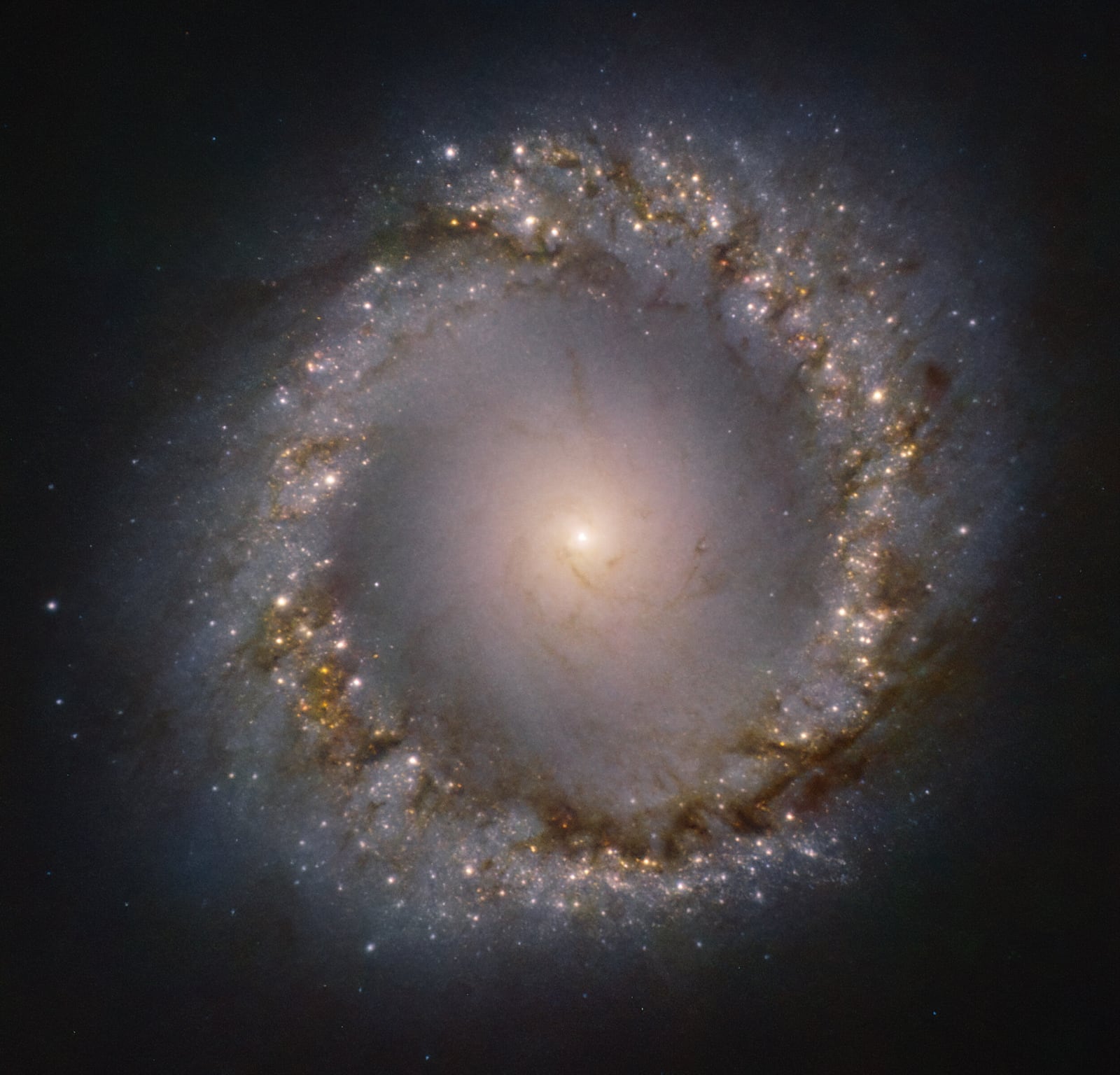 Galáxia NGC 1097, galáxia registrada pelo Very Large Telescope