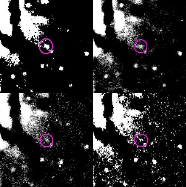 Galáxia NGC 1316, galáxia registrada pelo Very Large Telescope