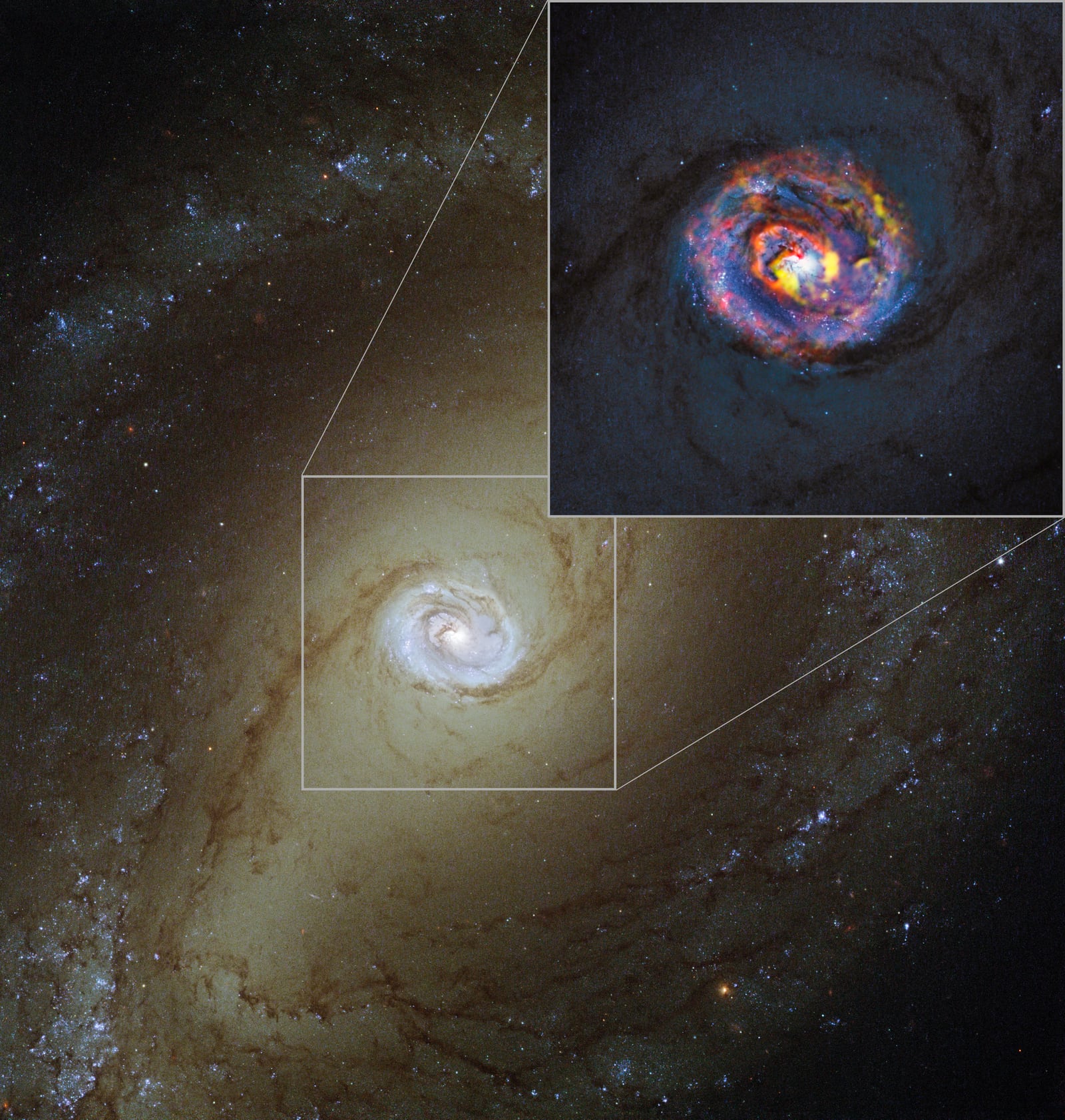 Ilustração artística de Galáxia NGC 1433, galáxia registrada pelo Hubble Space Telescope