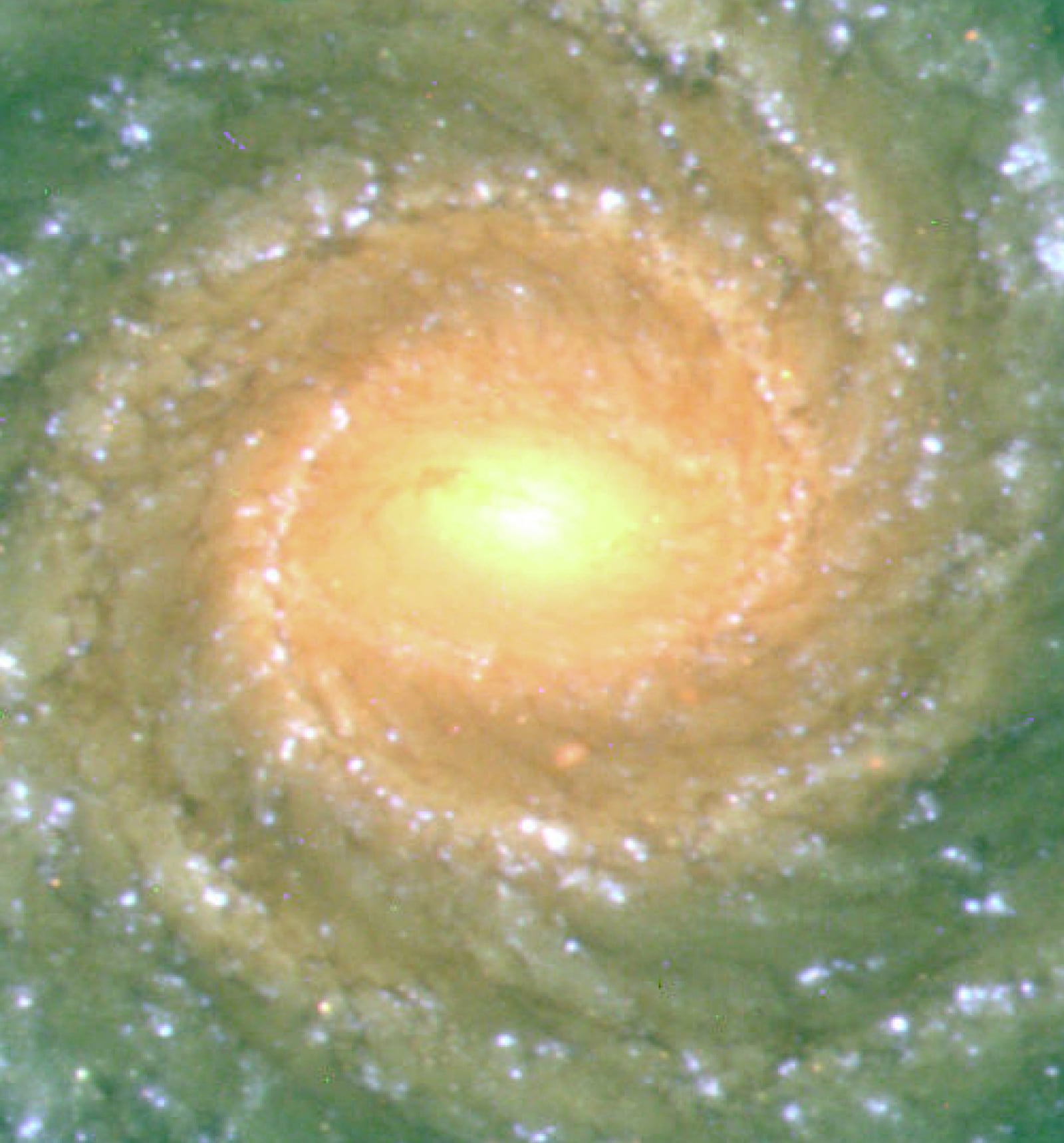 Galáxia NGC 1232, galáxia com linhas de emissão, em imagem do Very Large Telescope