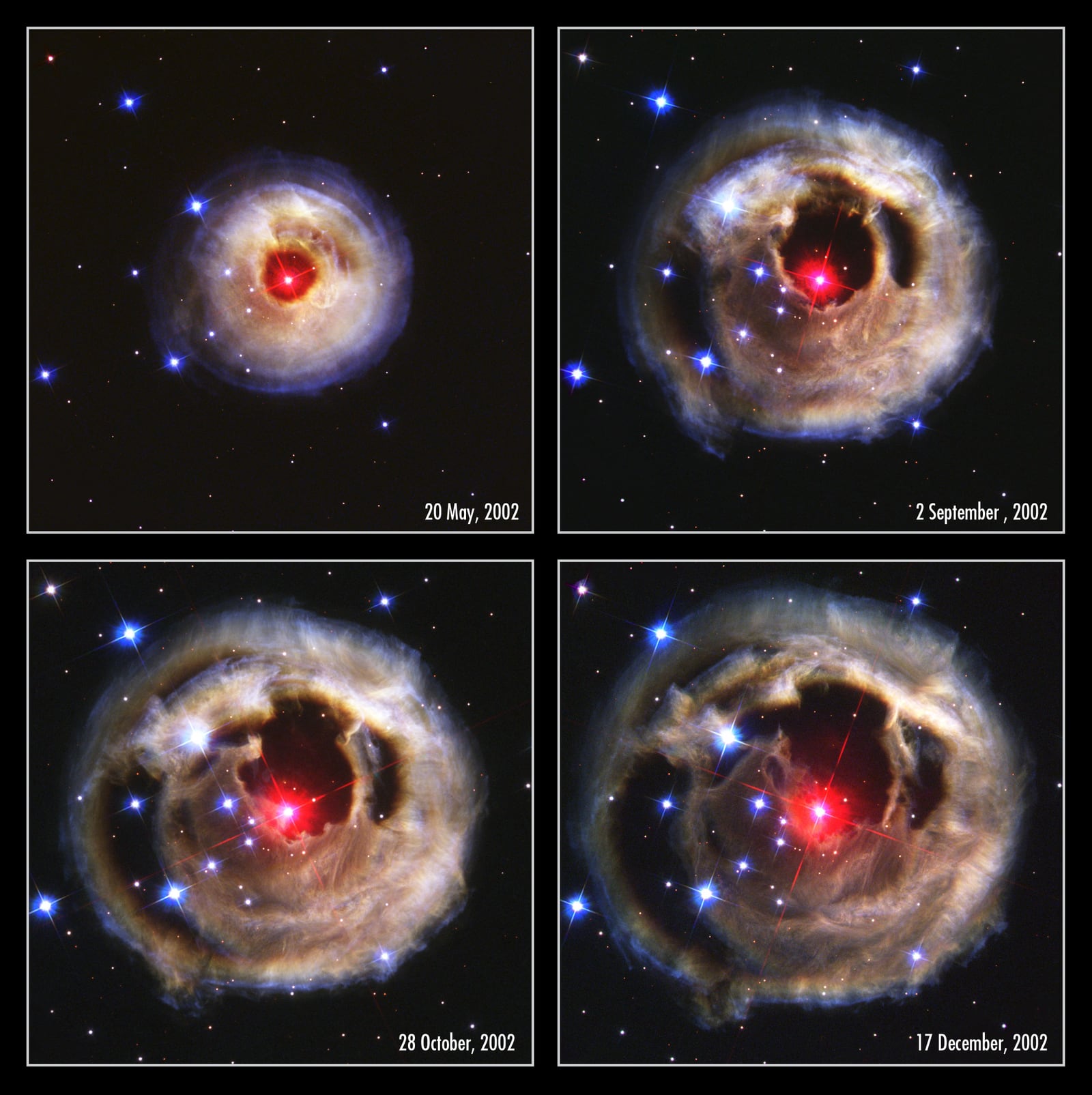 Montagem de várias imagens de V838 Monocerotis, variável cataclísmica, em imagem do Hubble Space Telescope