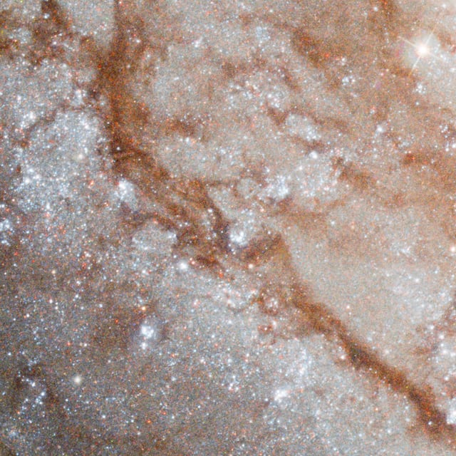 Galáxia do Cata-vento, galáxia, em imagem do Hubble Space Telescope