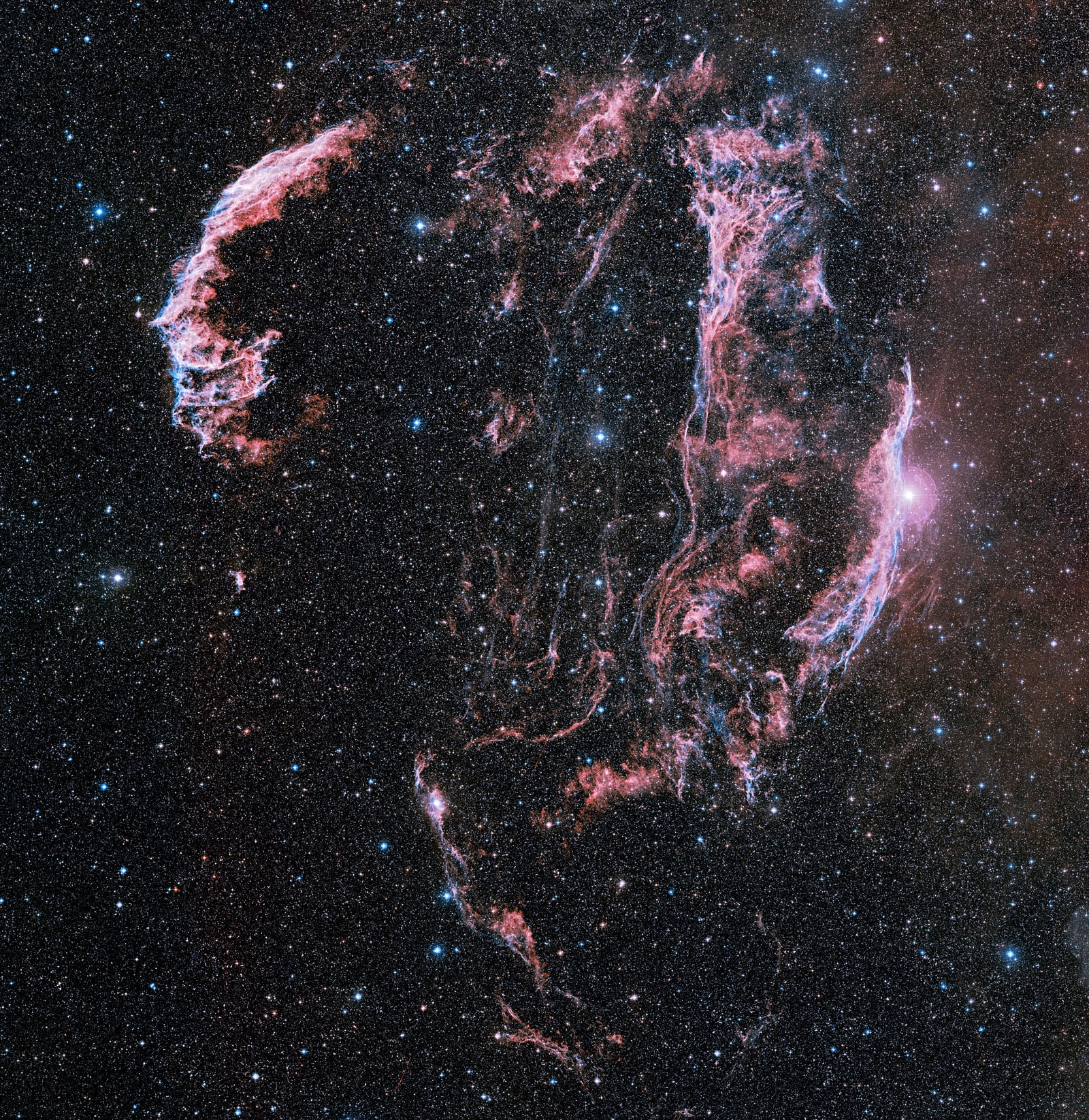Laço do Cisne, remanescente de supernova, em imagem do DSS