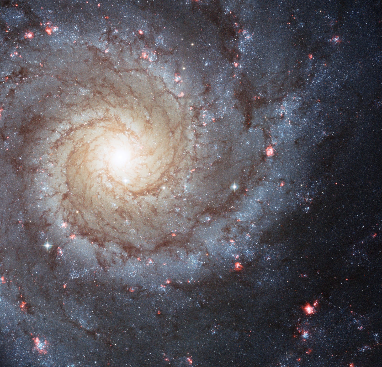 Galáxia Fantasma, galáxia registrada pelo Hubble Space Telescope