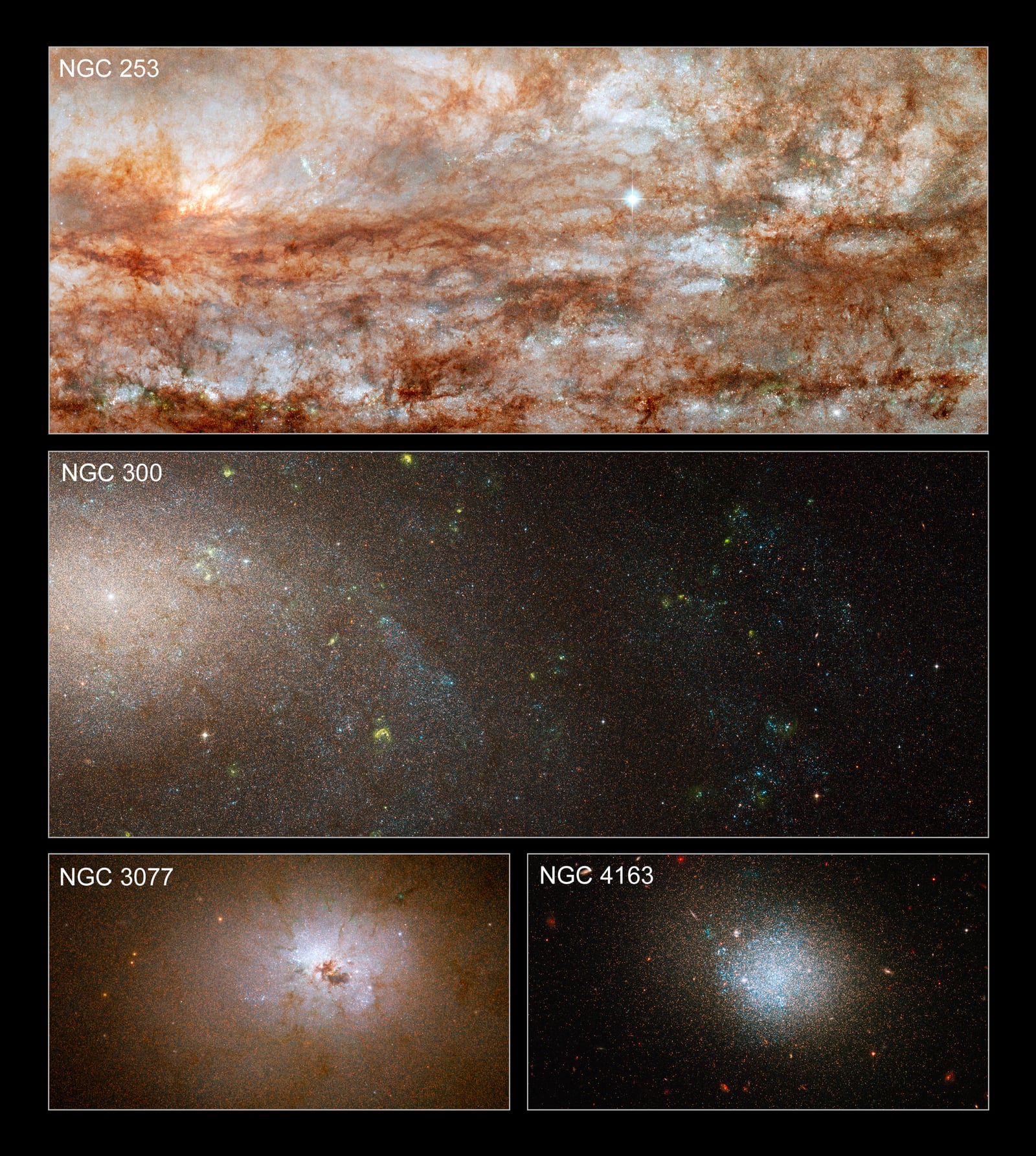 Montagem de várias imagens de Galáxia do Escultor, galáxia, em imagem do Hubble Space Telescope