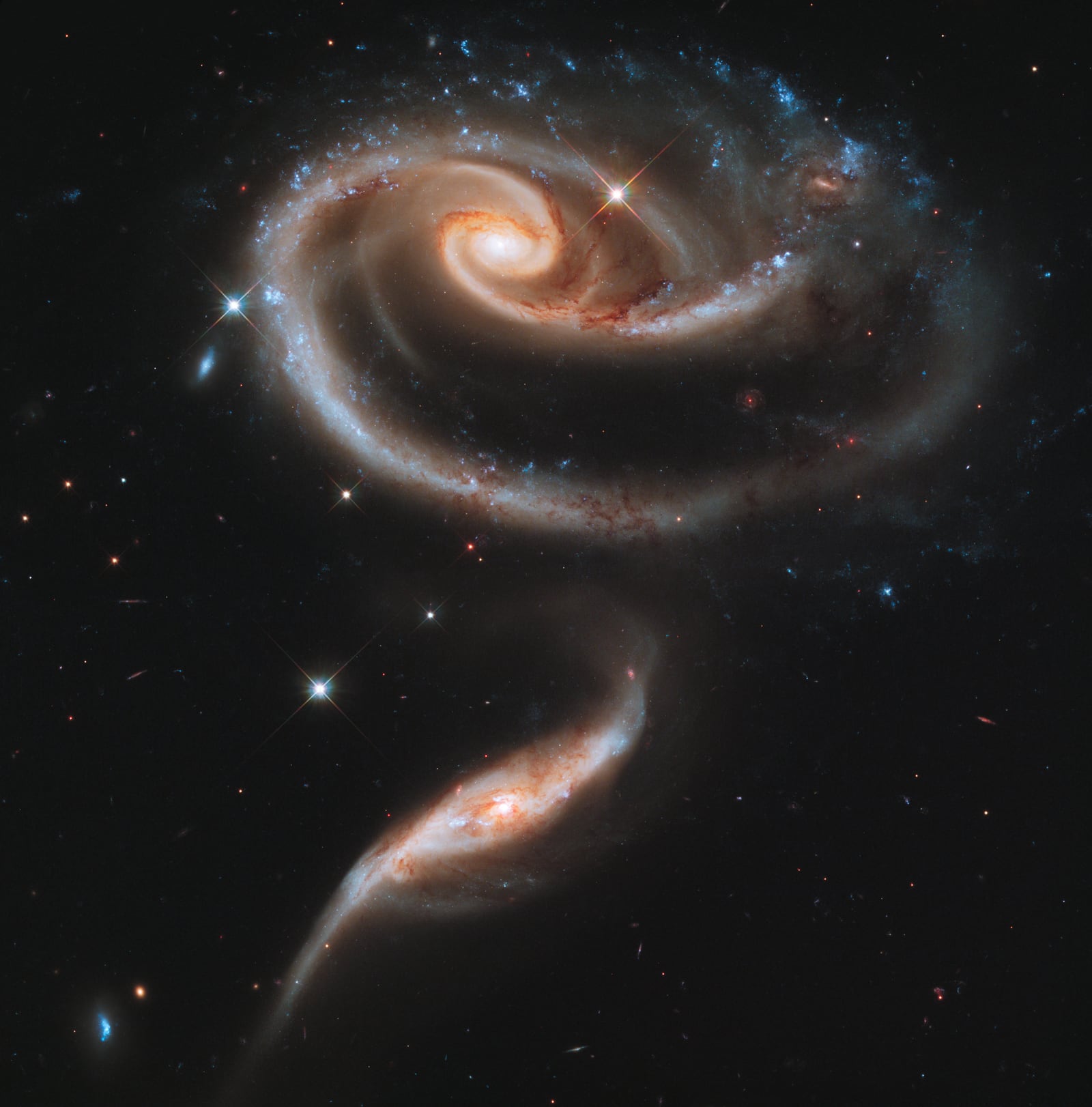 Arp 273, a rosa de galáxias, galáxias em interação registrada pelo Hubble Space Telescope