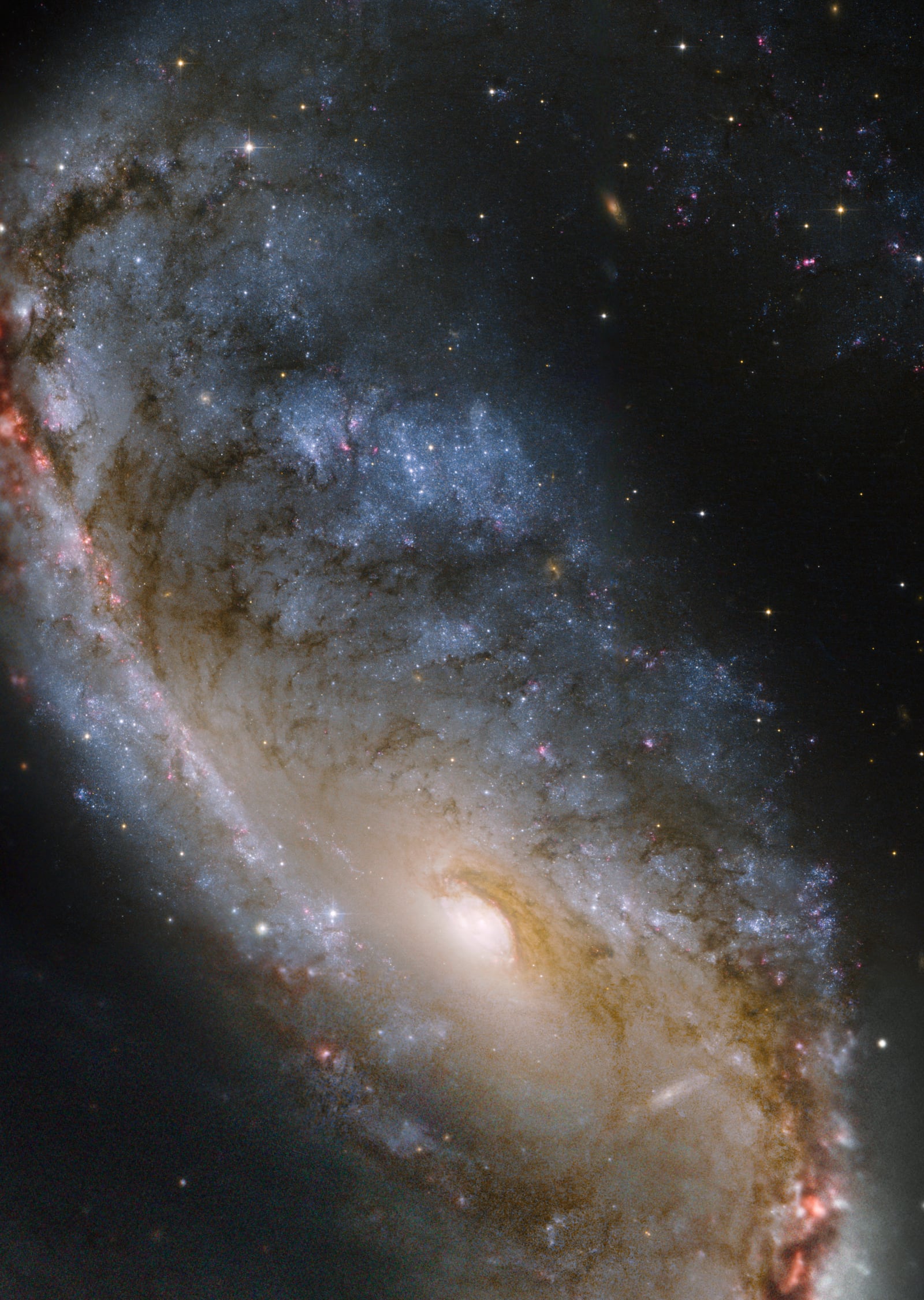 Galáxia NGC 2442, galáxia registrada pelo Hubble Space Telescope