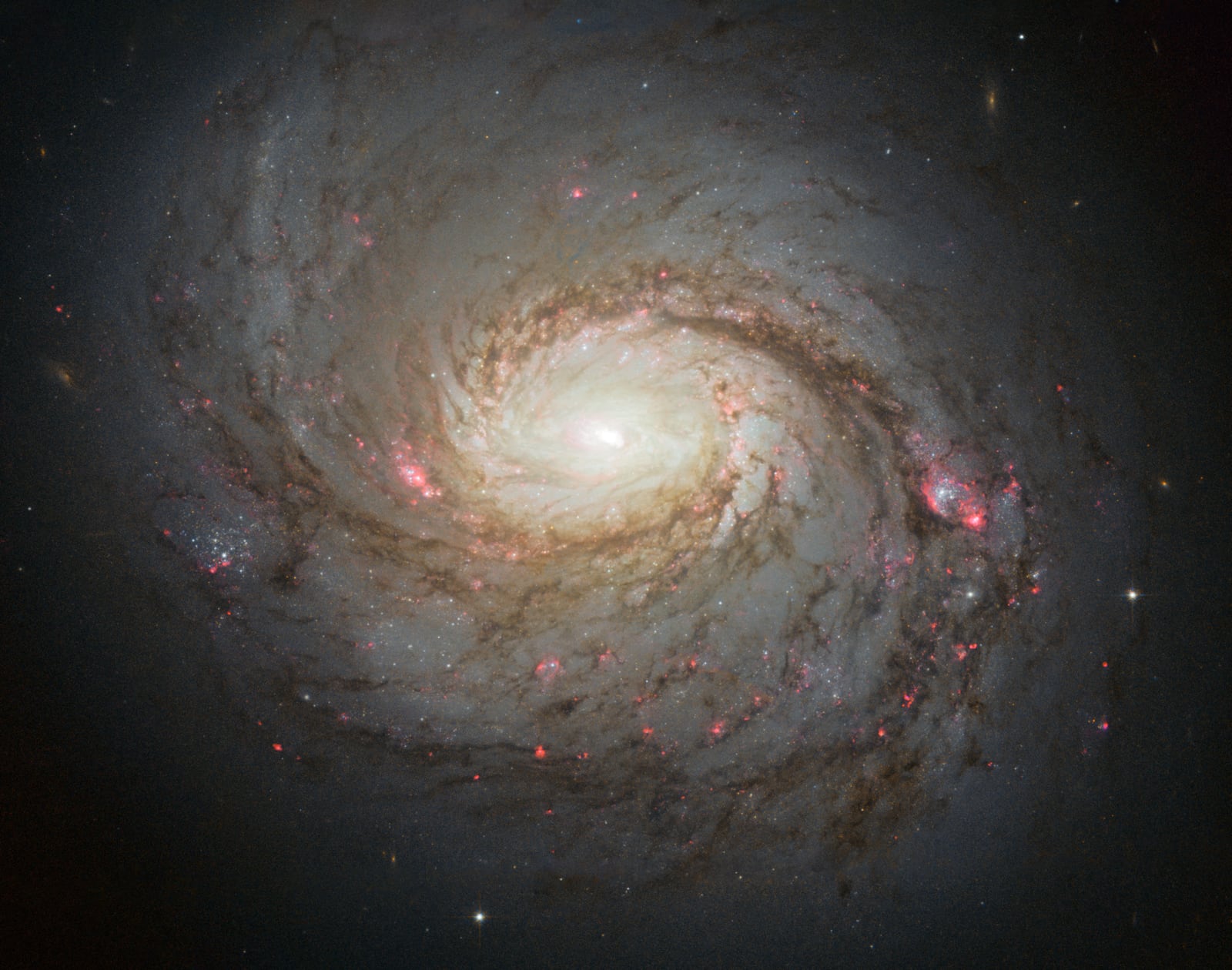Galáxia Messier 77, galáxia registrada pelo Hubble Space Telescope