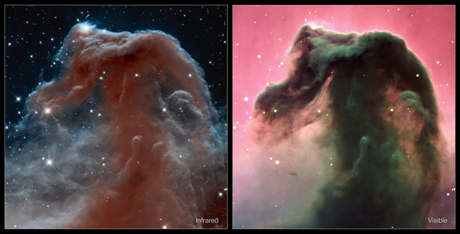 Montagem de várias imagens de Nebulosa Cabeça de Cavalo, nebulosa escura