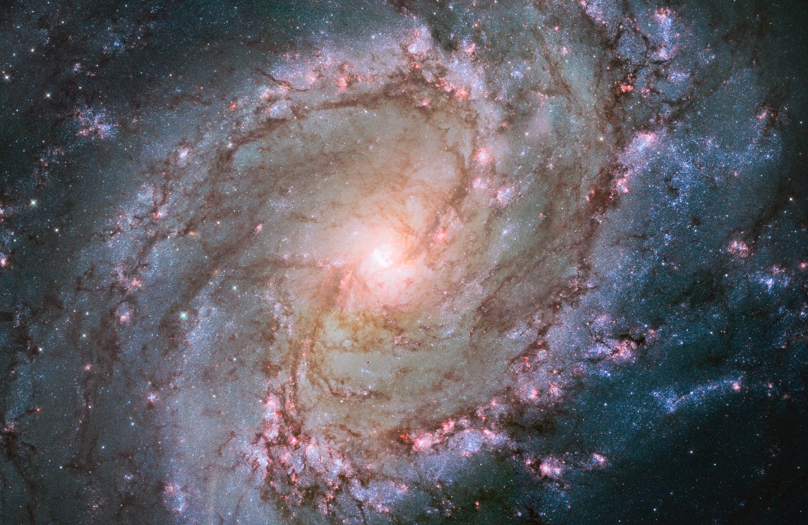 Galáxia do Cata-vento do Sul, galáxia, em imagem do Hubble Space Telescope
