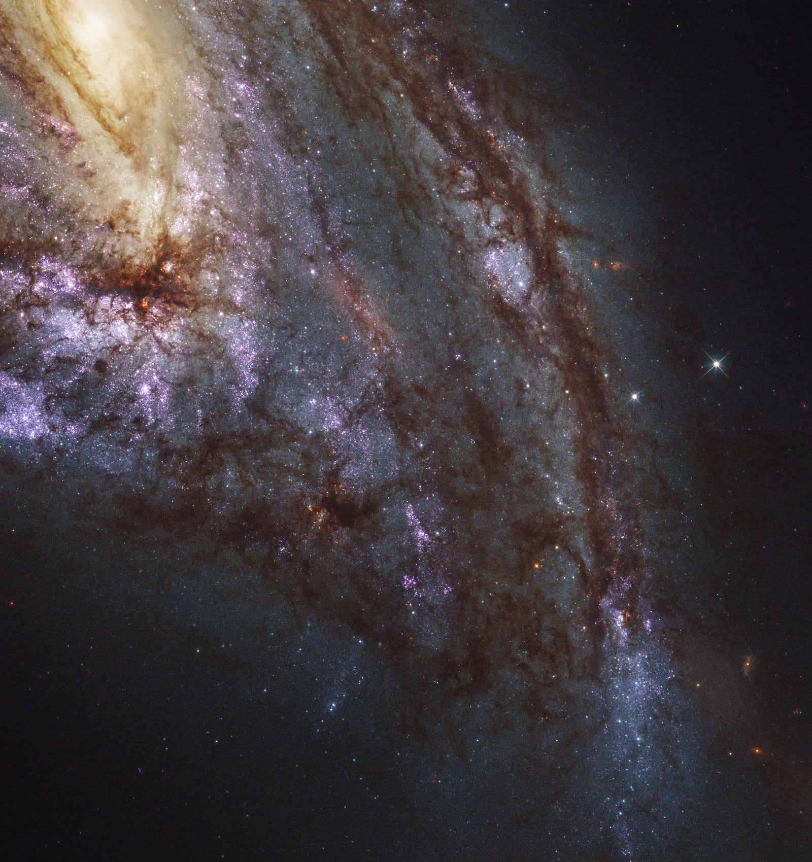 Galáxia Messier 66, galáxia registrada pelo Hubble Space Telescope