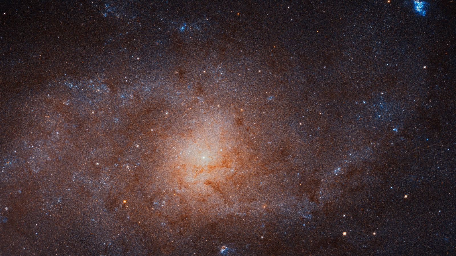 Galáxia do Triângulo, galáxia em grupo, em imagem do Hubble Space Telescope