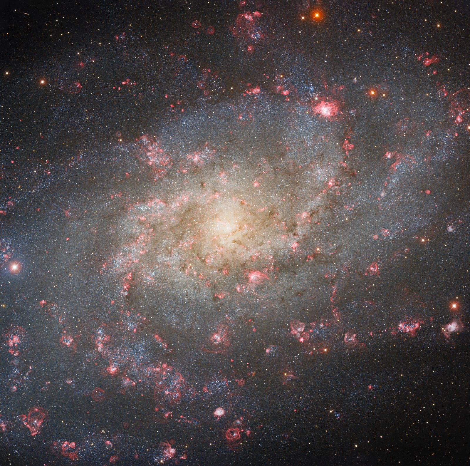 Galáxia do Triângulo, galáxia em grupo, em imagem do NSF Nicholas U. Mayall 4-meter Telescope