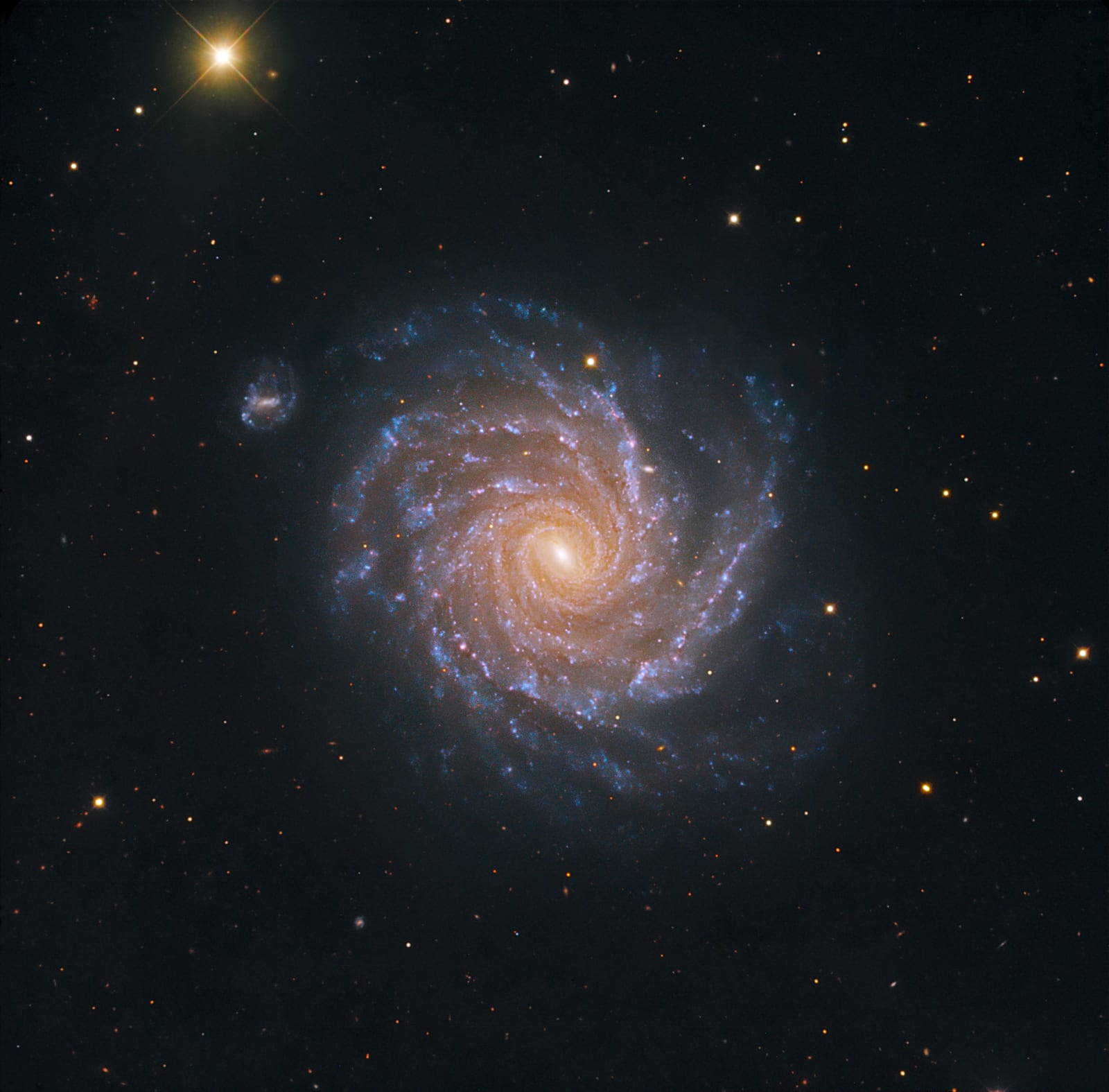 Galáxia NGC 1232, galáxia com linhas de emissão, em imagem do Danish 1.54-metre telescope