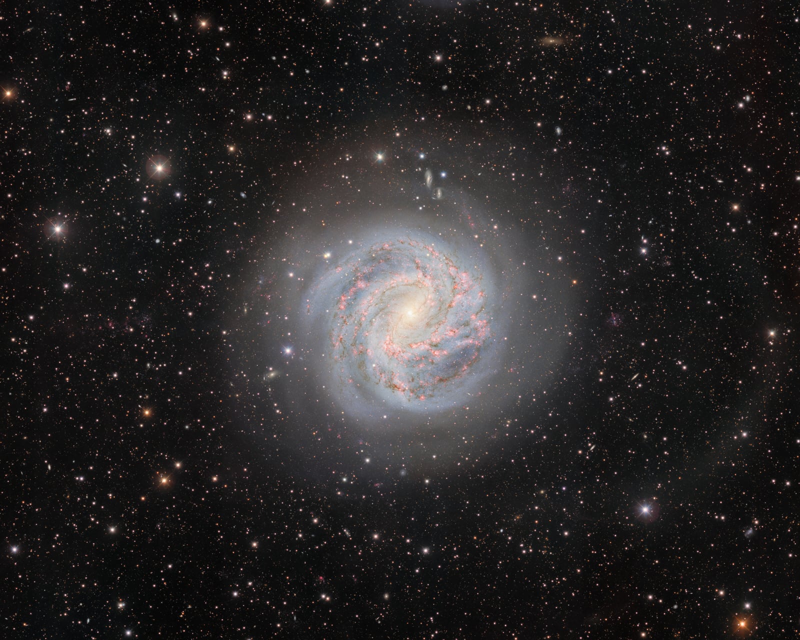Galáxia do Cata-vento do Sul, galáxia, em imagem do NSF Víctor M. Blanco 4-meter Telescope
