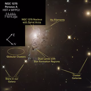 Montagem de várias imagens de Galáxia NGC 1275, no coração de Perseu, galáxia, em imagem do Hubble Space Telescope