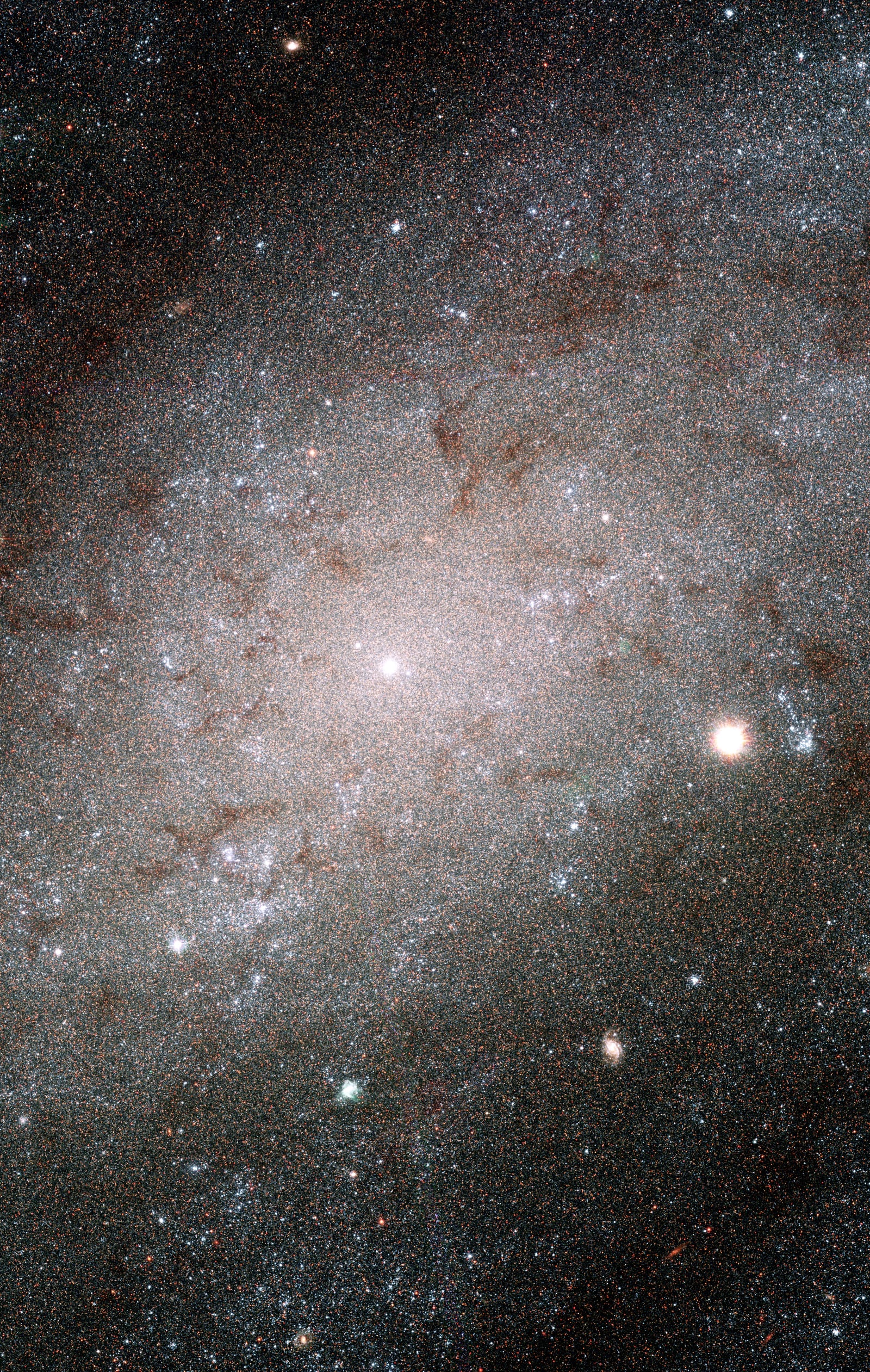 Galáxia NGC 300, galáxia em grupo, em imagem do Hubble Space Telescope
