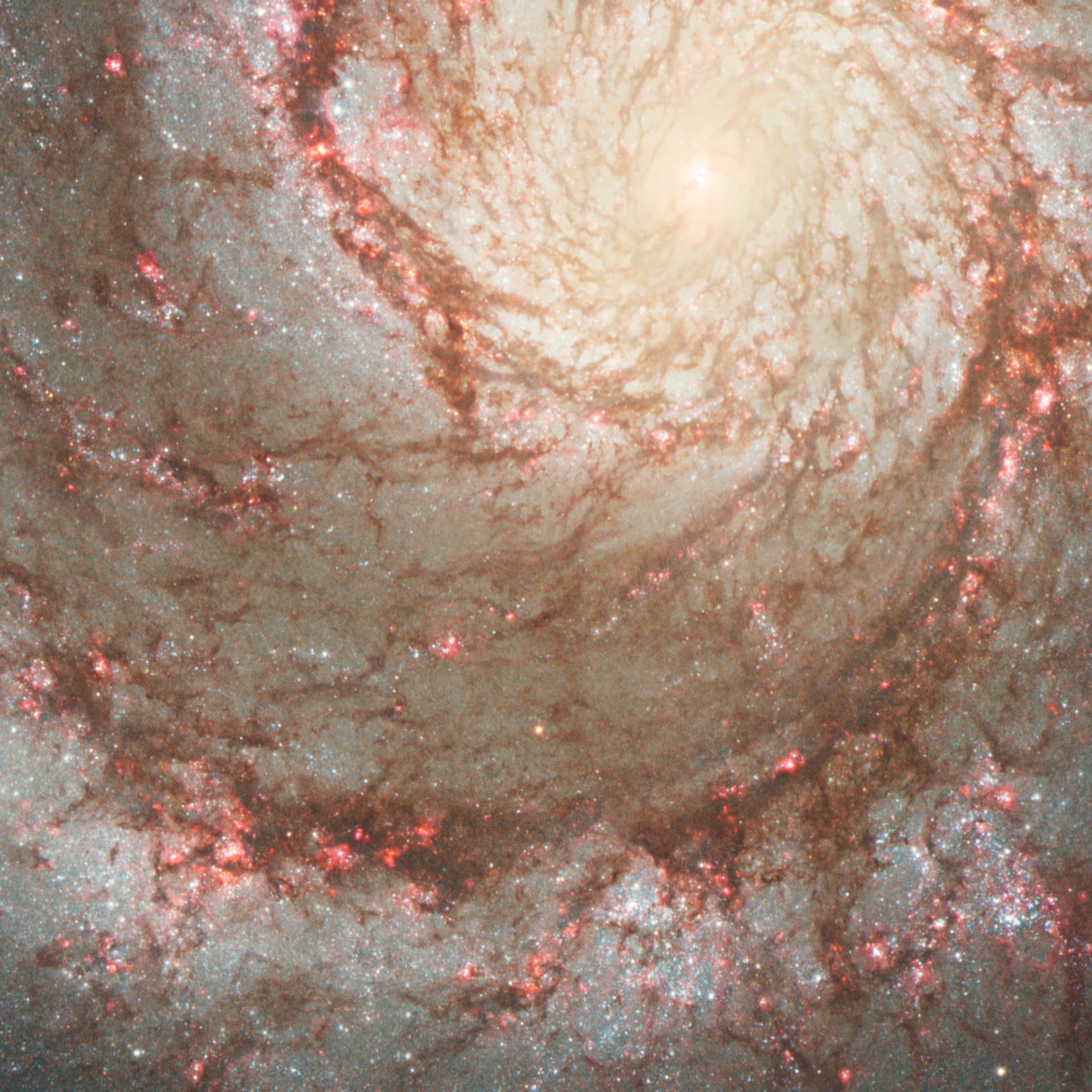 Galáxia do Redemoinho, galáxia, em imagem do Hubble Space Telescope