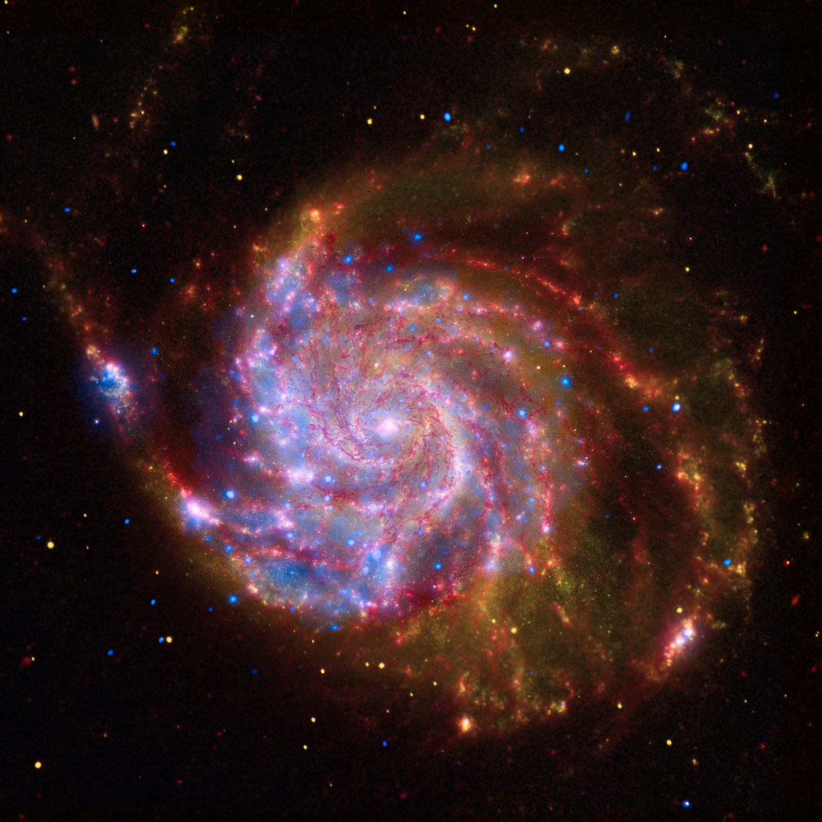 Galáxia do Cata-vento, galáxia, em imagem do Chandra