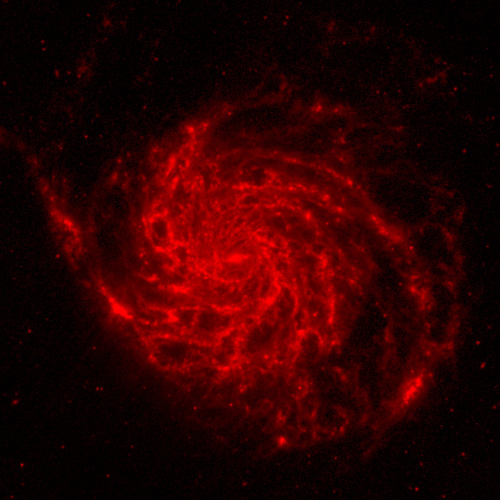 Galáxia do Cata-vento, galáxia, em imagem do Spitzer Space Telescope