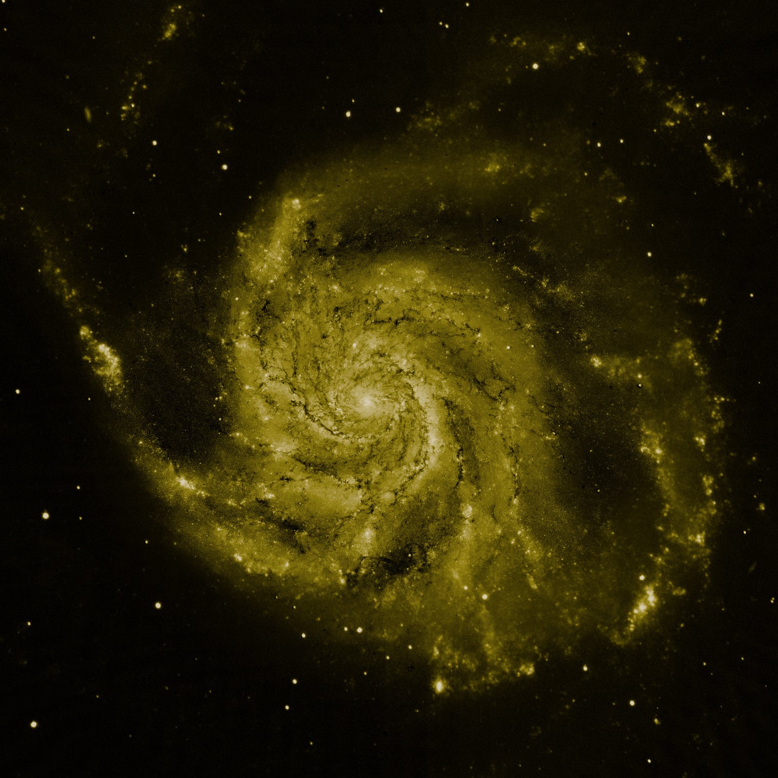 Galáxia do Cata-vento, galáxia, em imagem do Hubble Space Telescope