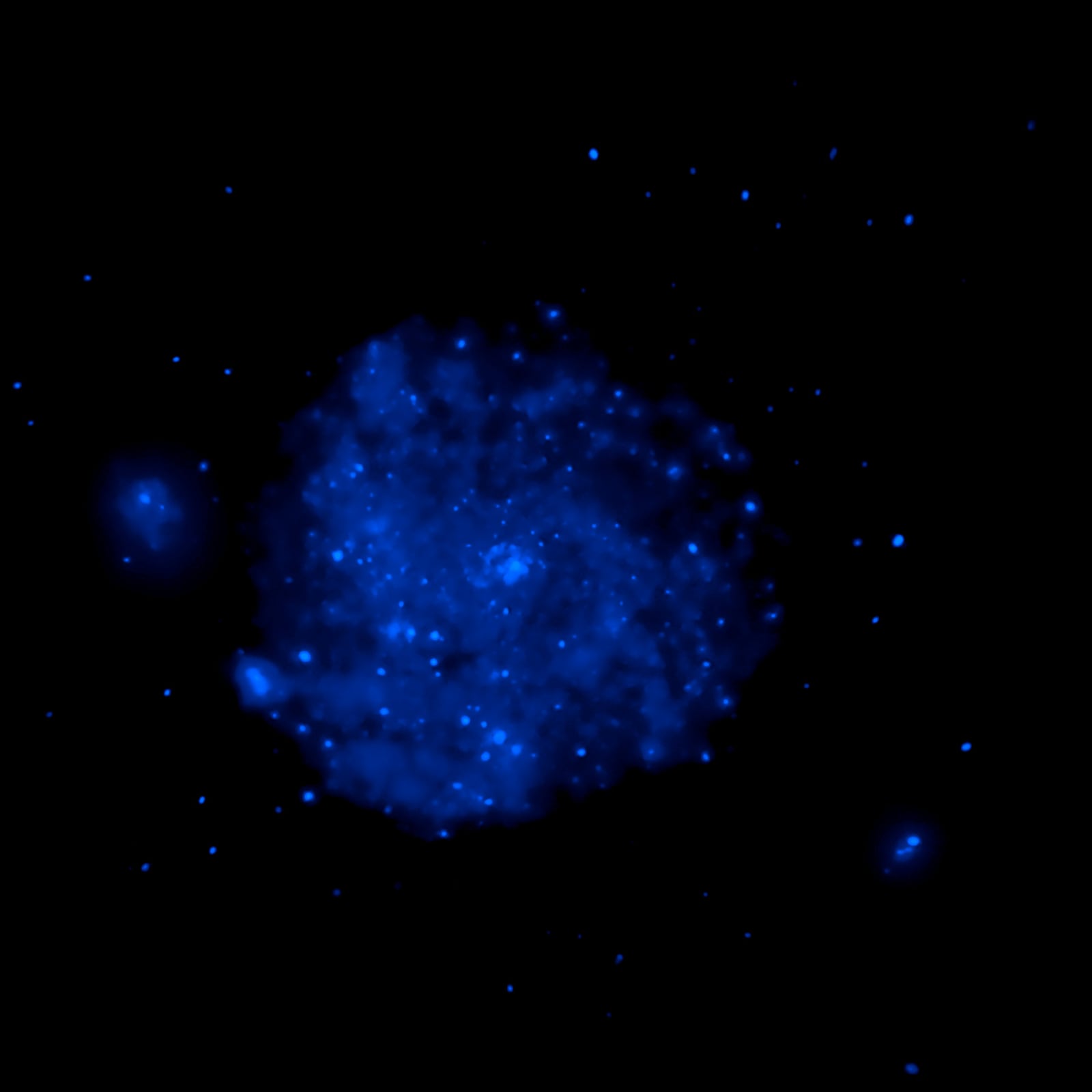 Galáxia do Cata-vento, galáxia, em imagem do Chandra
