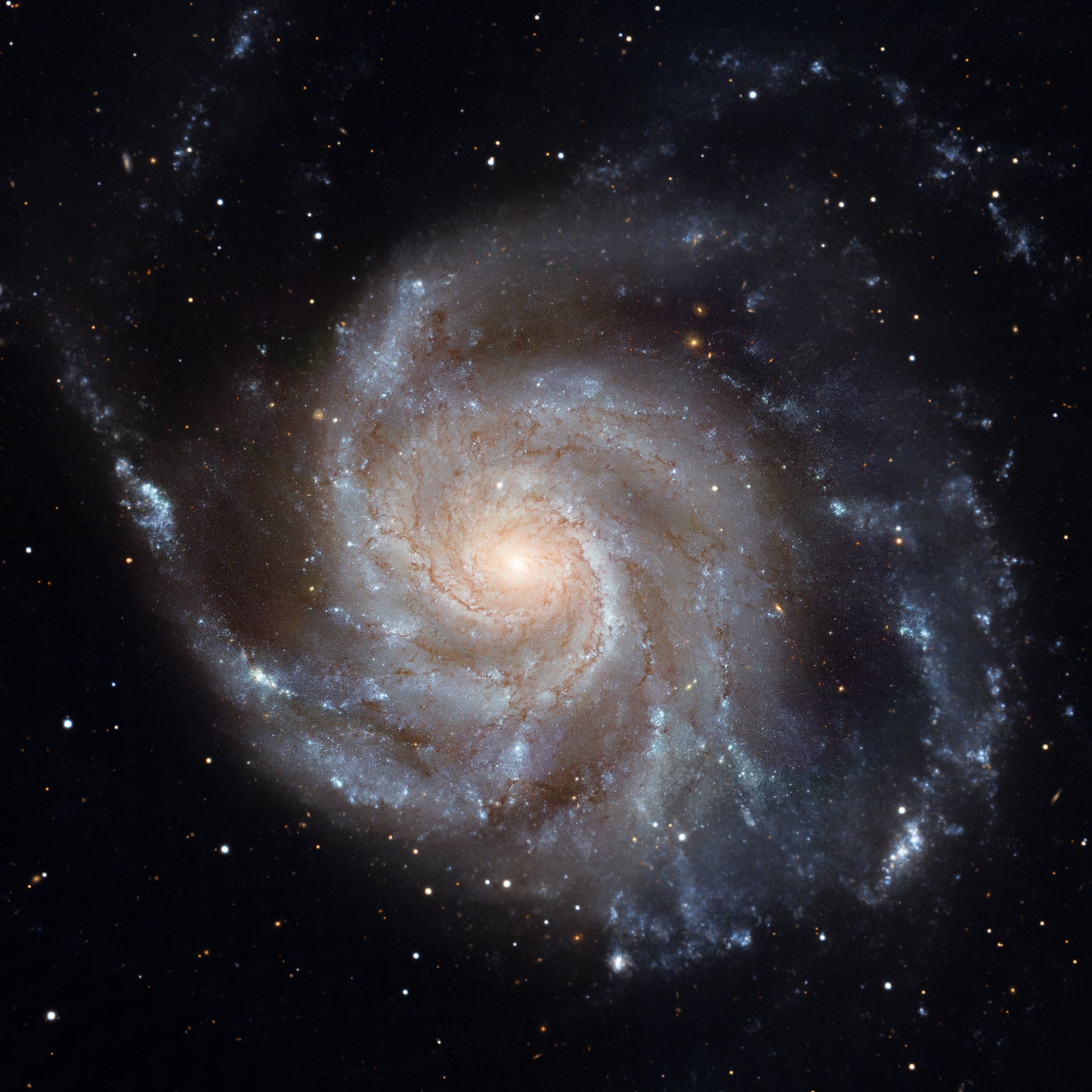 Galáxia do Cata-vento, galáxia, em imagem do Hubble Space Telescope