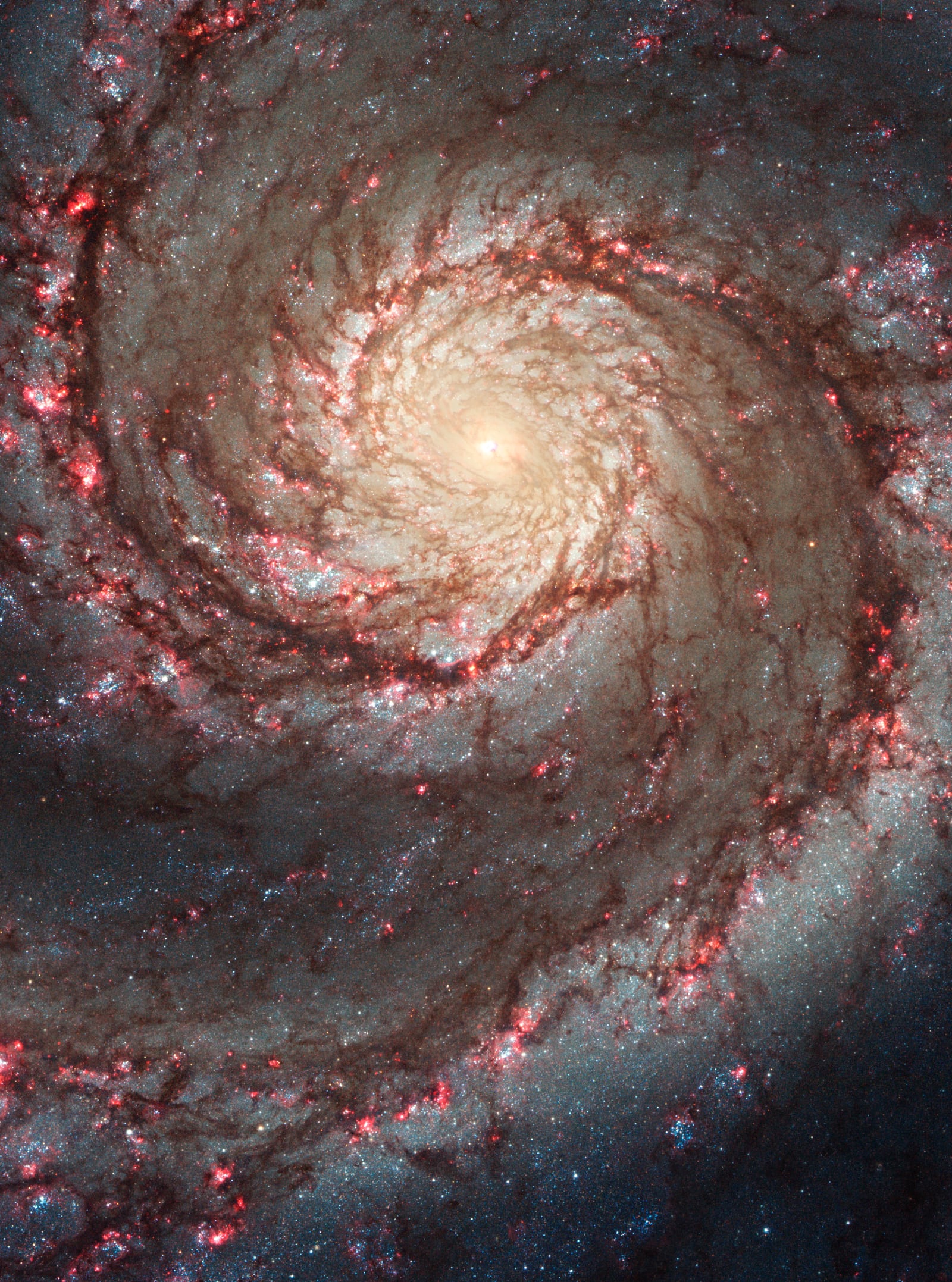 Galáxia do Redemoinho, galáxia, em imagem do Hubble Space Telescope