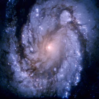 Galáxia Messier 100, galáxia, em imagem do Hubble Space Telescope