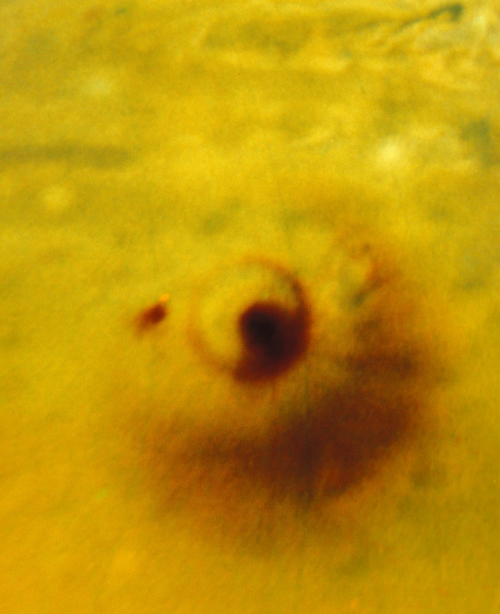 Júpiter, planeta, em imagem do Hubble Space Telescope