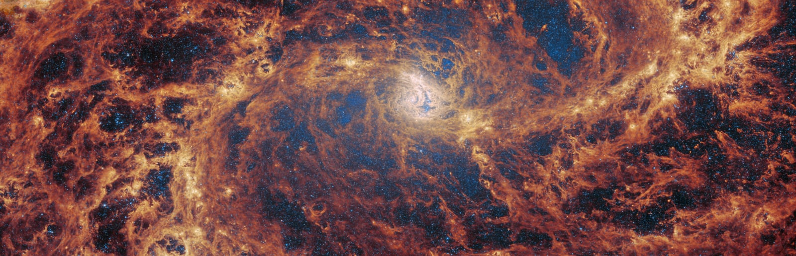 Galáxia do Cata-vento do Sul, galáxia, em imagem do James Webb Space Telescope