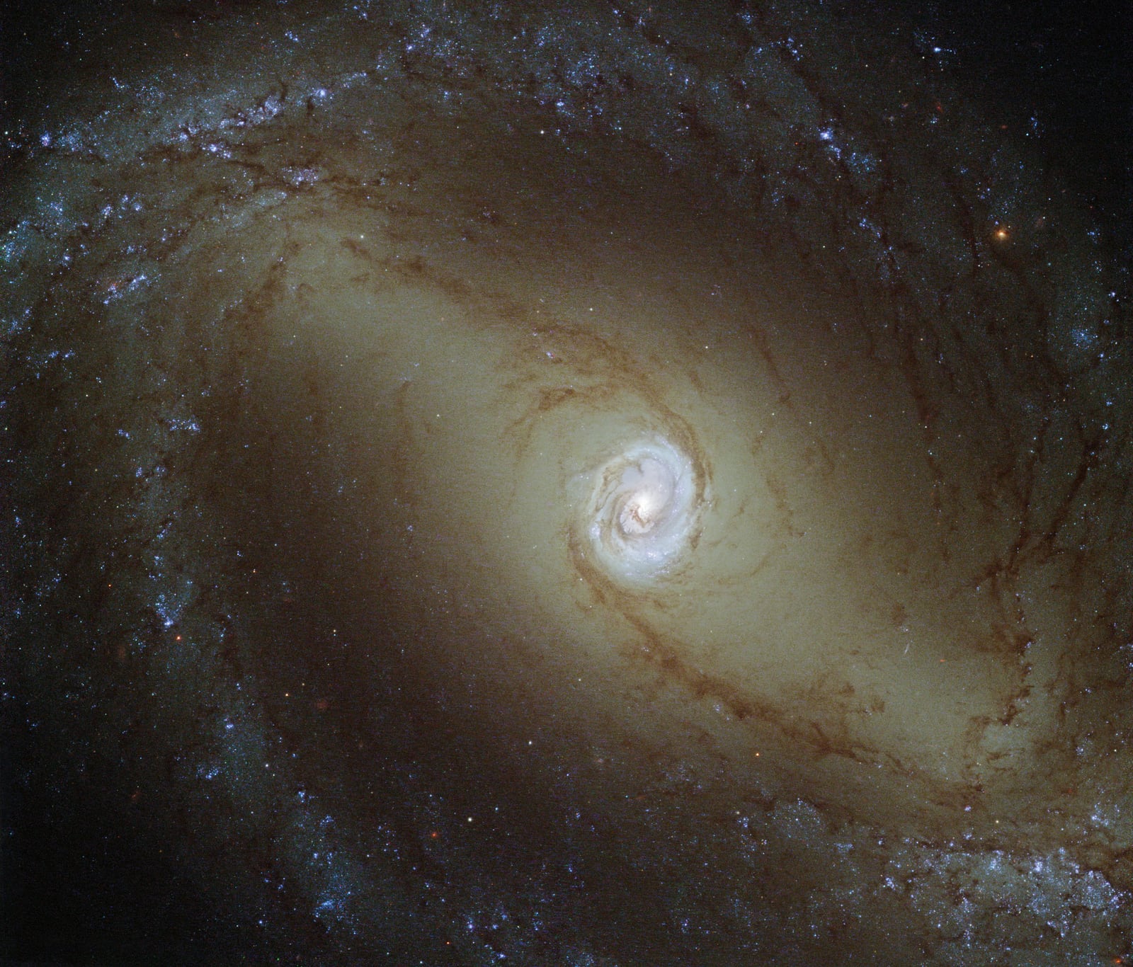 Galáxia NGC 1433, galáxia registrada pelo Hubble Space Telescope
