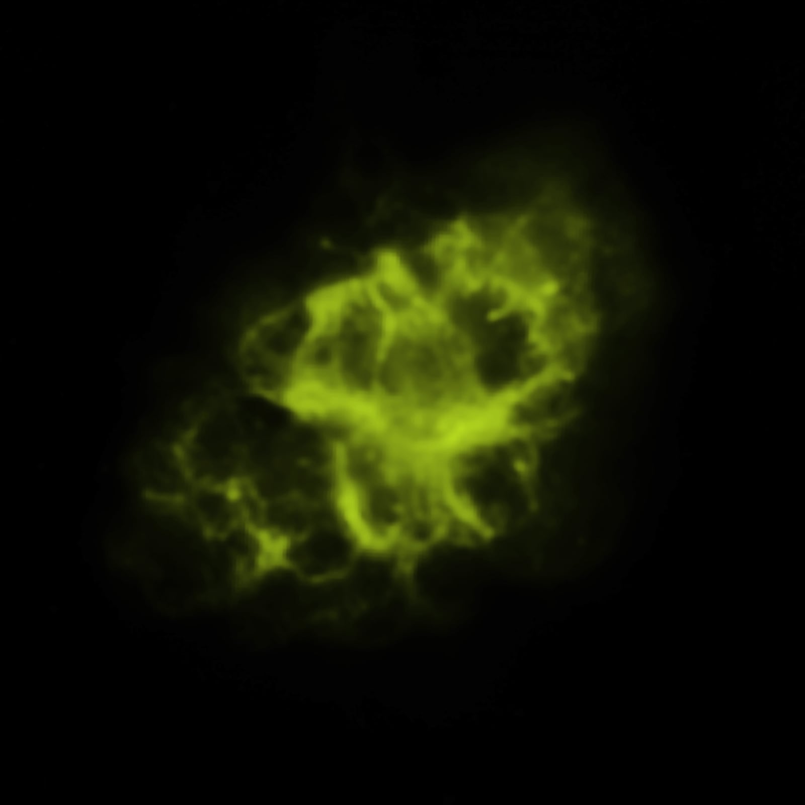 Nebulosa do Caranguejo, remanescente de supernova, em imagem do Spitzer Space Telescope