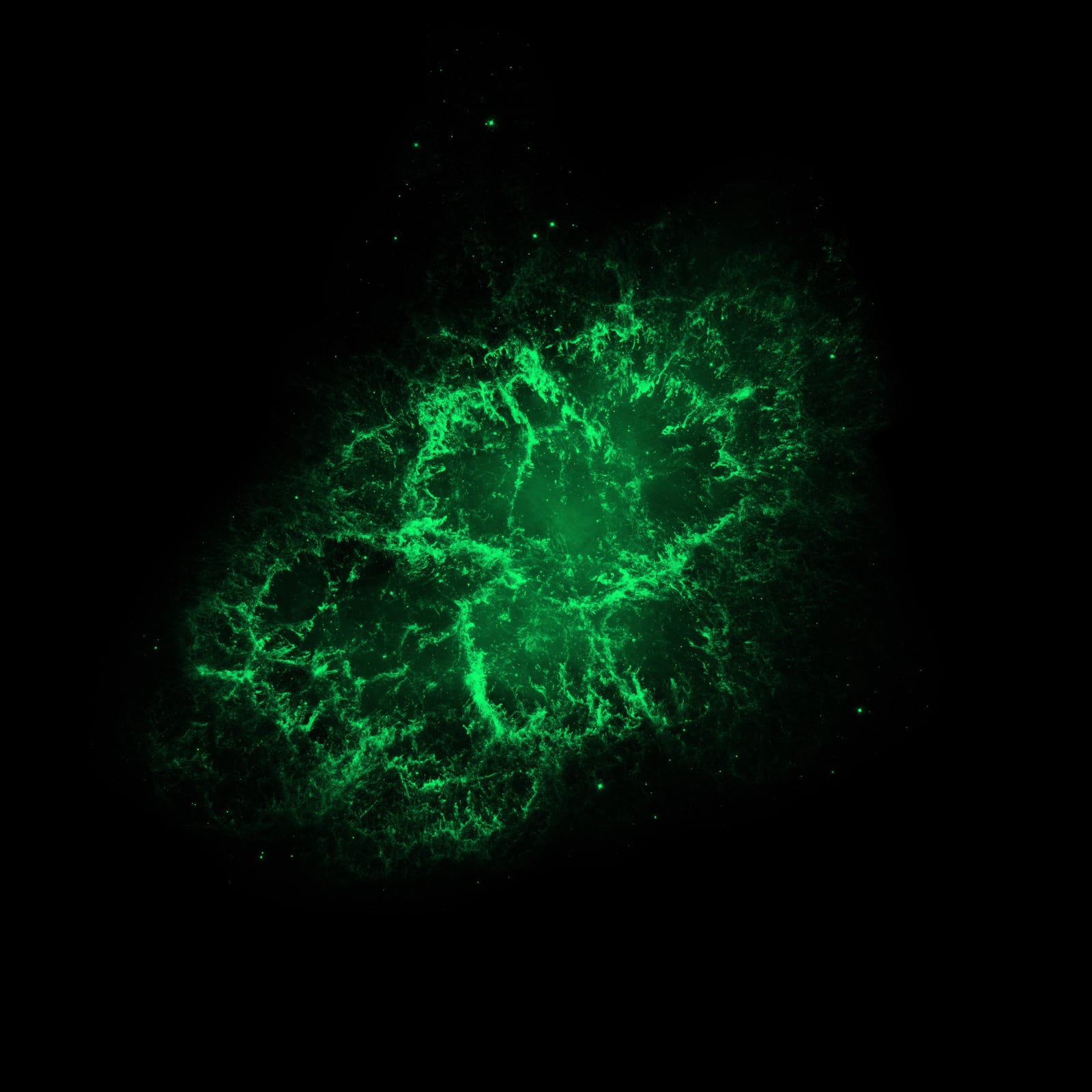 Nebulosa do Caranguejo, remanescente de supernova, em imagem do Hubble Space Telescope