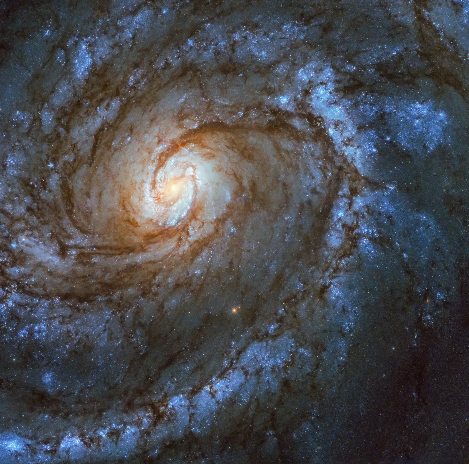R Aquarii, estrela simbiótica registrada pelo Very Large Telescope