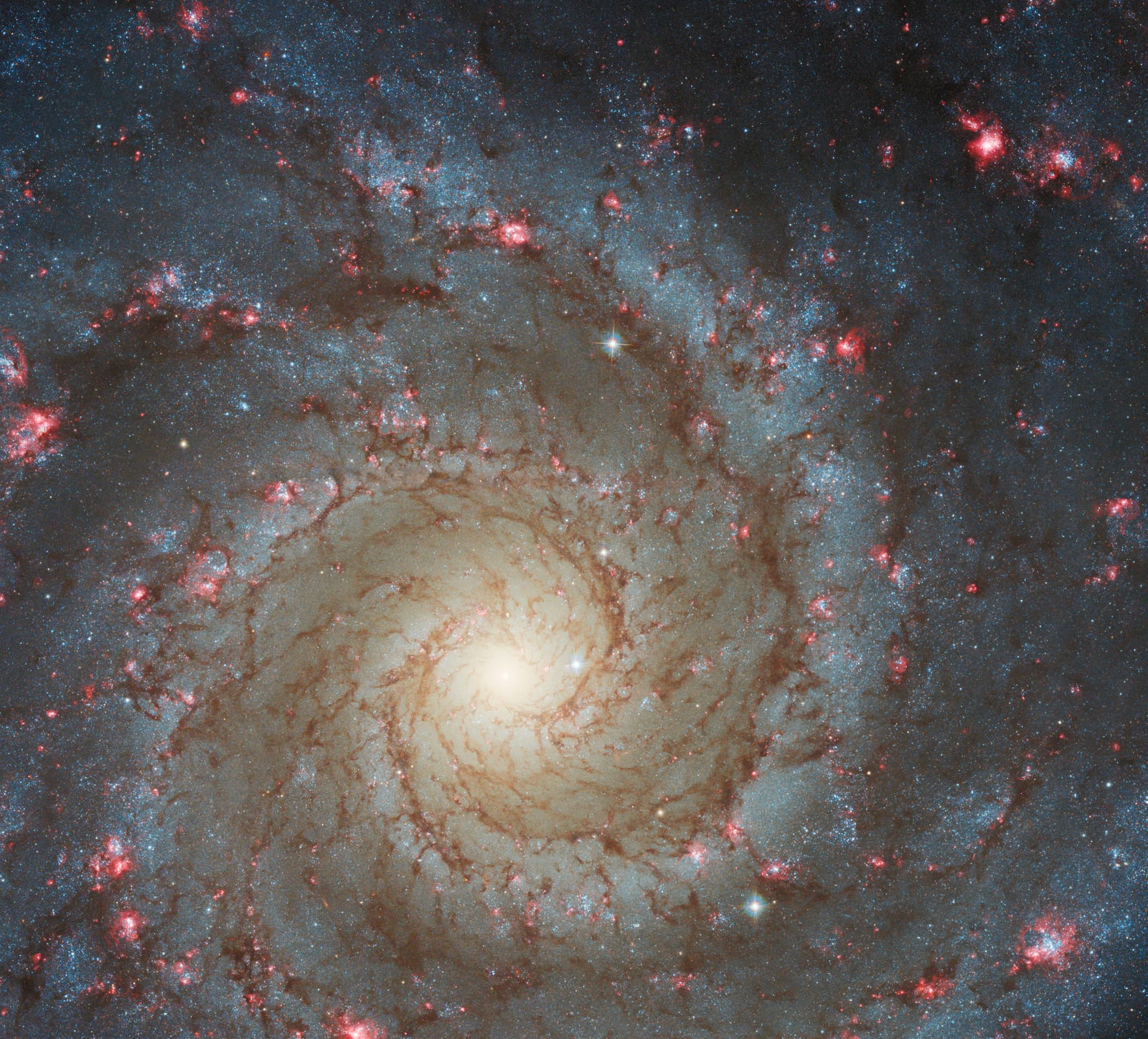 Galáxia Fantasma, galáxia, em imagem do Hubble Space Telescope