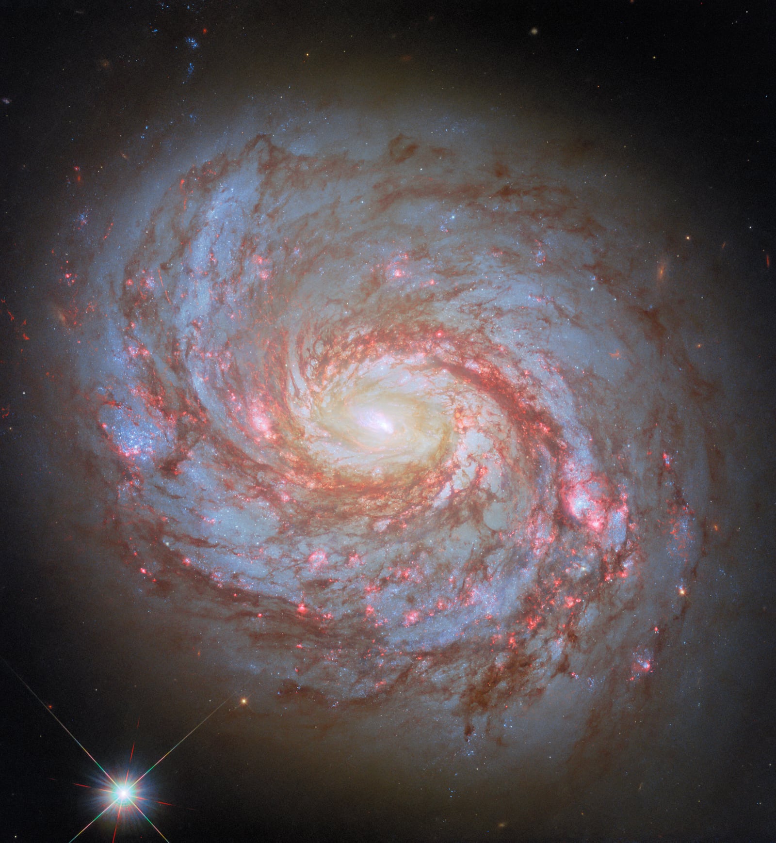 Galáxia Messier 77, galáxia registrada pelo Hubble Space Telescope