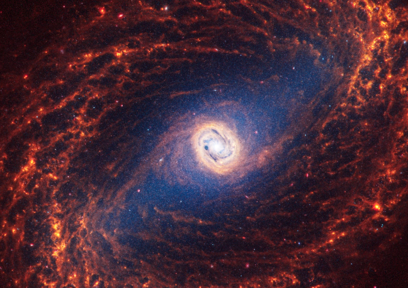Galáxia NGC 1433, galáxia registrada pelo James Webb Space Telescope