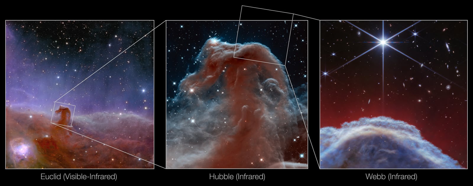 Montagem de várias imagens de Nebulosa Cabeça de Cavalo, nebulosa escura