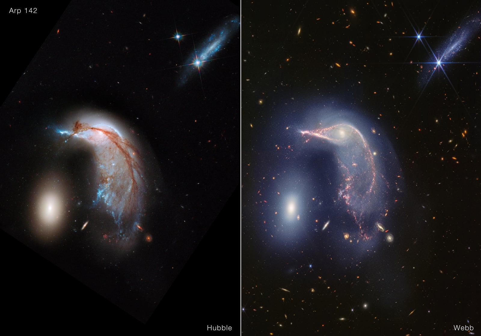 Montagem de várias imagens de Arp 142, o Pinguim e o Ovo, galáxias em interação